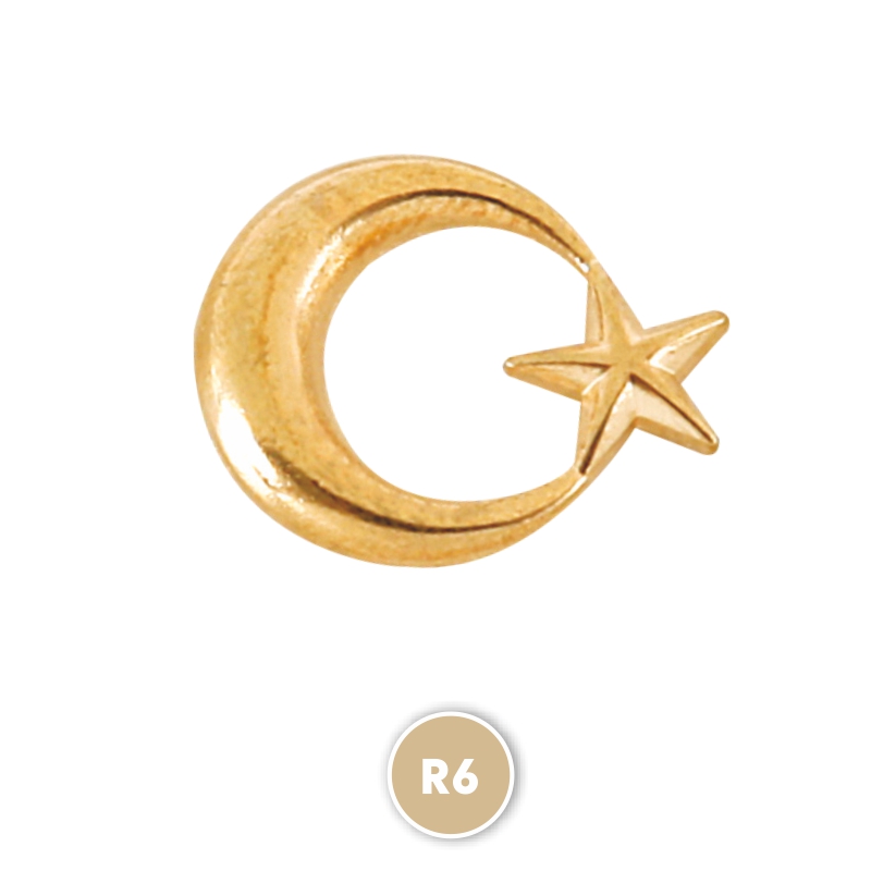 R6 Silver Rozet - Rozetler Promosyon Ürünü